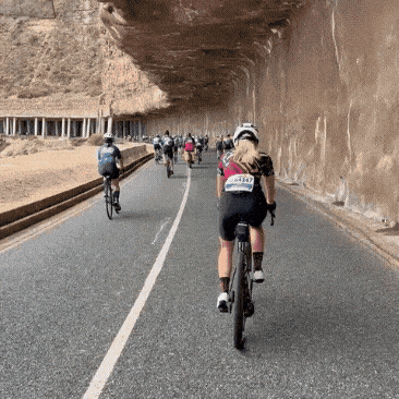 Kelly Viljoen